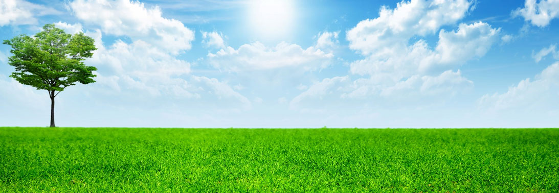 Green Innovators APELS